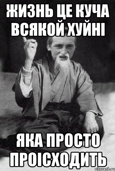 жизнь це куча всякой хуйні яка просто проісходить, Мем Мудрий паца