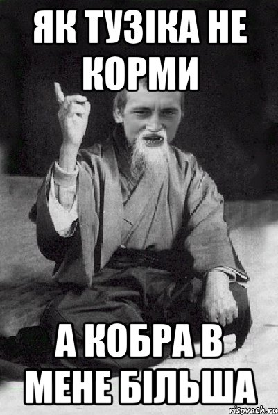 Як тузіка не корми а кобра в мене більша, Мем Мудрий паца