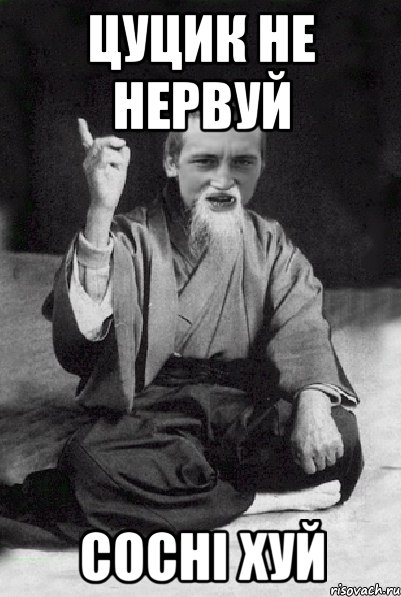 ЦУЦИК не нервуй сосні хуй, Мем Мудрий паца