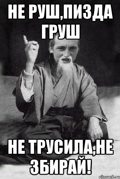 Не руш,пизда груш Не трусила,не збирай!, Мем Мудрий паца