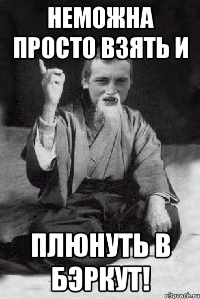 Неможна просто взять и плюнуть в бэркут!, Мем Мудрий паца