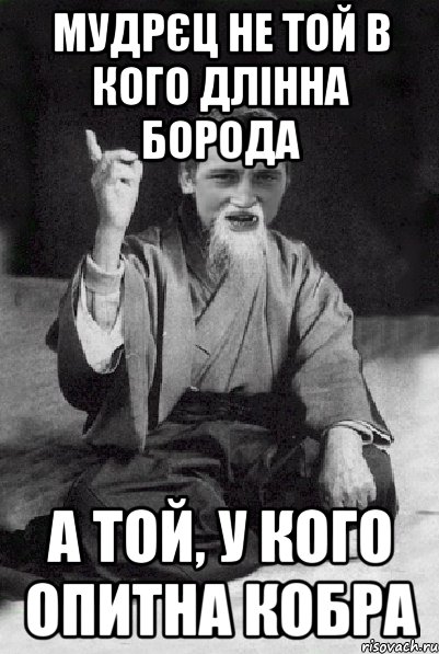 мудрєц не той в кого длінна борода а той, у кого опитна кобра, Мем Мудрий паца