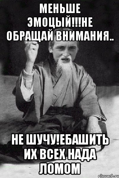 Меньше эмоцый!!!не обращай внимания.. Не шучу!ебашить их всех нада ломом, Мем Мудрий паца