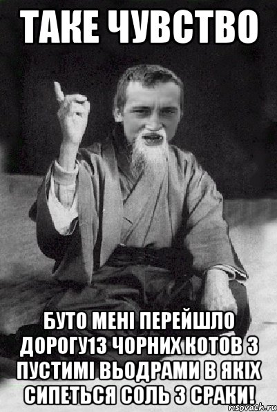 таке чувство буто мені перейшло дорогу13 чорних котов з пустимі вьодрами в якіх сипеться соль з сраки!, Мем Мудрий паца