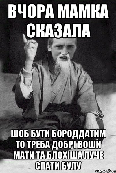 ВЧОРА МАМКА СКАЗАЛА ШОБ БУТИ БОРОДДАТИМ ТО ТРЕБА ДОБРІ ВОШИ МАТИ ТА БЛОХІША ЛУЧЕ СПАТИ БУЛУ, Мем Мудрий паца