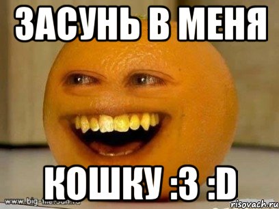 Засунь в меня Кошку :3 :D, Мем Надоедливый апельсин