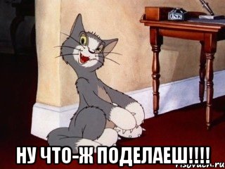  Ну что-ж поделаеш!!!!, Мем Наглый том