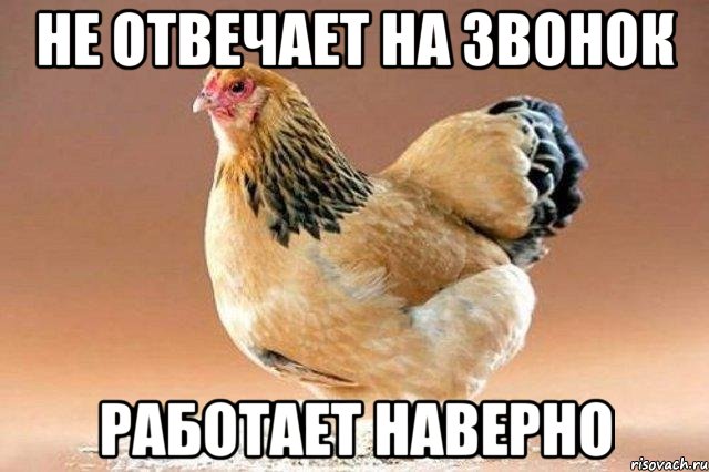 не отвечает на звонок работает наверно, Мем наивная курица