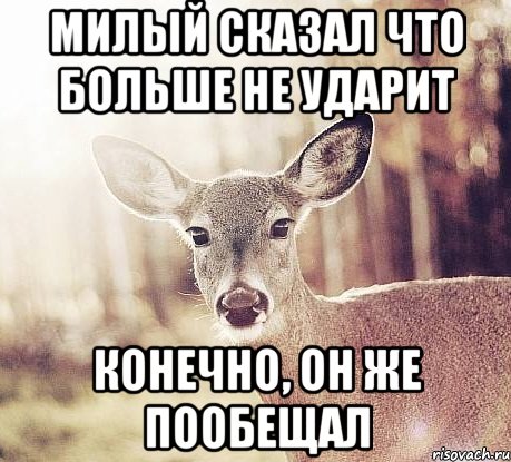 Милый сказал что больше не ударит Конечно, он же пообещал