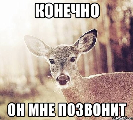 Конечно он мне позвонит