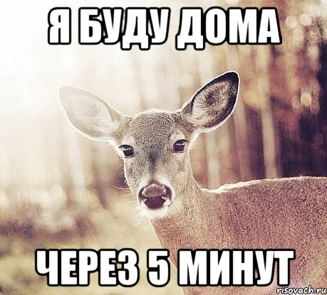 я буду дома через 5 минут