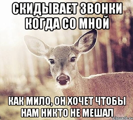 Скидывает звонки когда со мной Как мило, он хочет чтобы нам никто не мешал