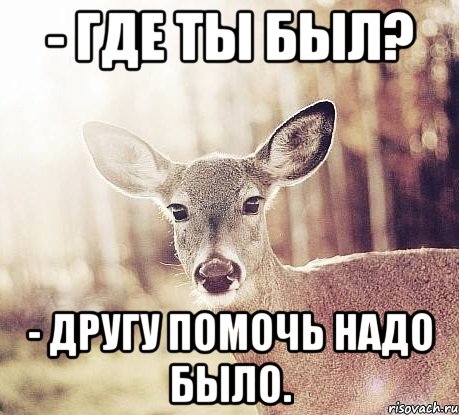 - Где ты был? - Другу помочь надо было.