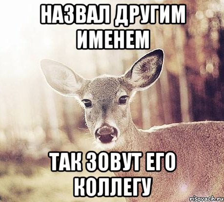 Назвал другим именем Так зовут его коллегу