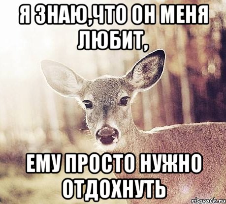 я знаю,что он меня любит, ему просто нужно отдохнуть
