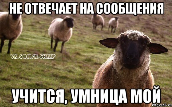 не отвечает на сообщения учится, умница мой