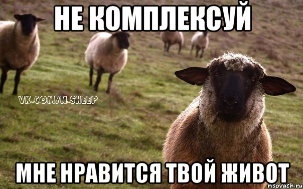 НЕ КОМПЛЕКСУЙ МНЕ НРАВИТСЯ ТВОЙ ЖИВОТ, Мем  Наивная Овца