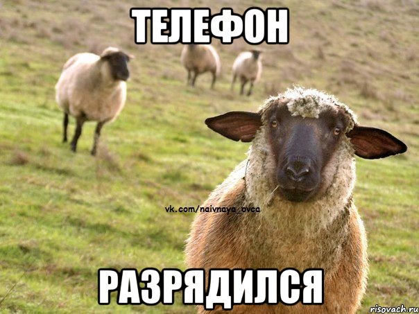 телефон разрядился, Мем  Наивная Овца