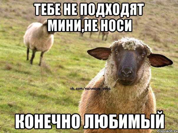Тебе не подходят мини,не носи Конечно любимый, Мем  Наивная Овца