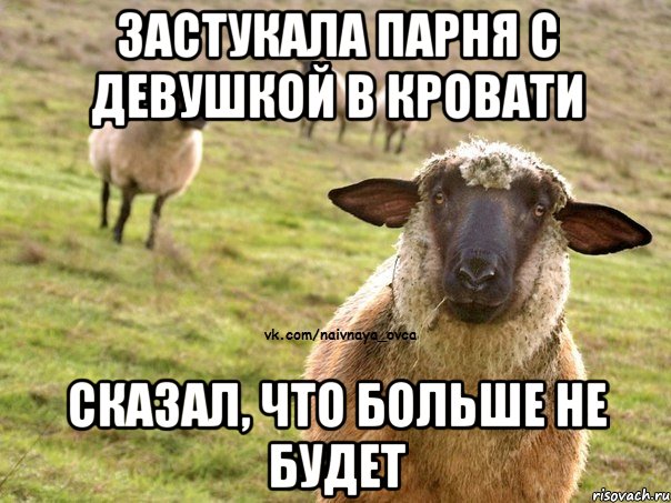 Застукала парня с девушкой в кровати сказал, что больше не будет, Мем  Наивная Овца