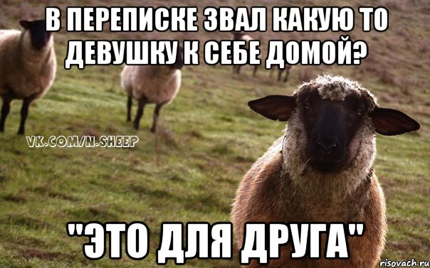 в переписке звал какую то девушку к себе домой? "это для друга", Мем  Наивная Овца