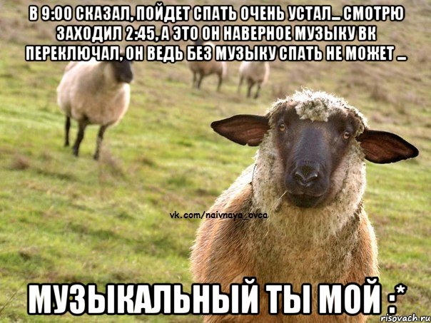 в 9:00 сказал, пойдет спать очень устал... смотрю заходил 2:45, а это он наверное музыку вк переключал, он ведь без музыку спать не может ... музыкальный ты мой :*, Мем  Наивная Овца