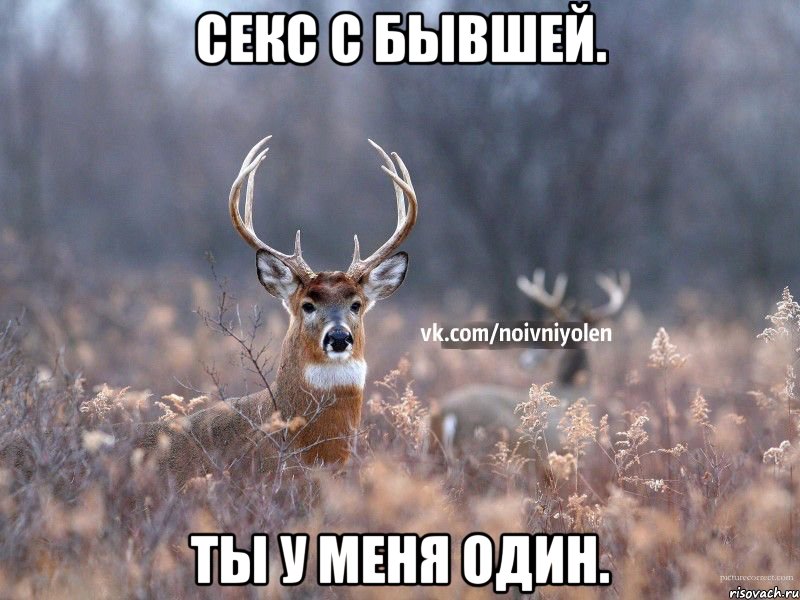 Секс с бывшей. Ты у меня один.