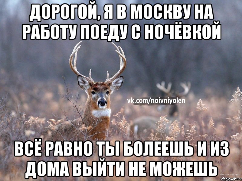 дорогой, я в Москву на работу поеду с ночёвкой всё равно ты болеешь и из дома выйти не можешь, Мем Наивный Олень vk