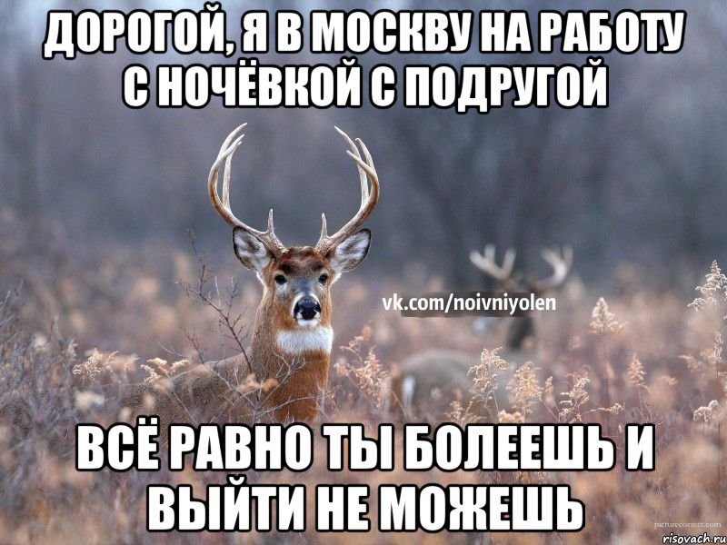 дорогой, я в москву на работу с ночёвкой с подругой всё равно ты болеешь и выйти не можешь, Мем Наивный Олень vk