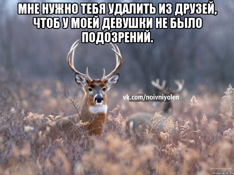 мне нужно тебя удалить из друзей, чтоб у моей девушки не было подозрений. , Мем Наивный Олень vk