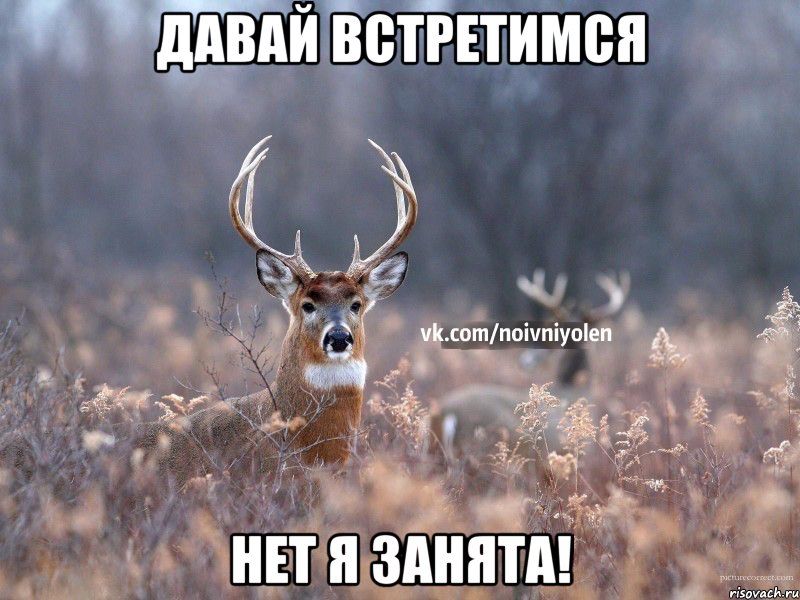 Давай встретимся Нет я занята!