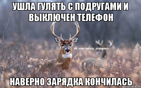 Статусы ушла гулять Статусы ушла гулять