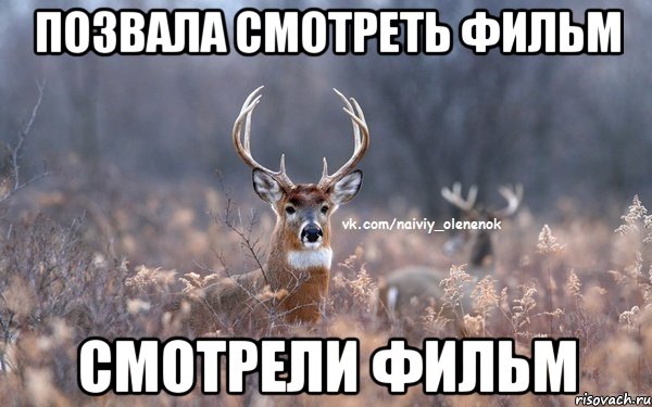 Позвала смотреть фильм смотрели фильм
