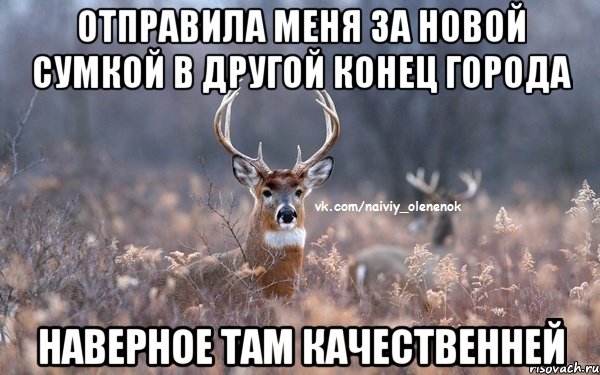 отправила меня за новой сумкой в другой конец города наверное там качественней