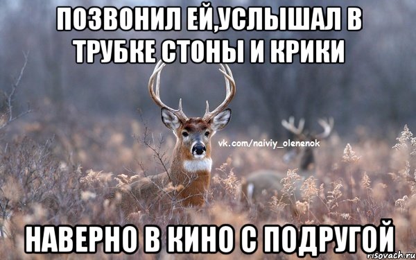 позвонил ей,услышал в трубке стоны и крики наверно в кино с подругой