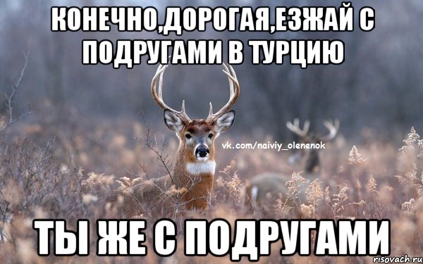 конечно,дорогая,езжай с подругами в турцию ты же с подругами