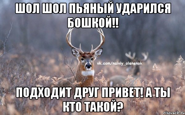 Шол шол пьяный ударился бошкой!! Подходит друг привет! А ты кто такой?