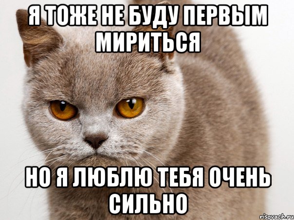 Я тоже не буду первым мириться Но я люблю тебя очень сильно, Мем Не б