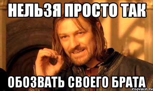 Нельзя просто так Обозвать своего брата, Мем Нельзя просто так взять и (Боромир мем)