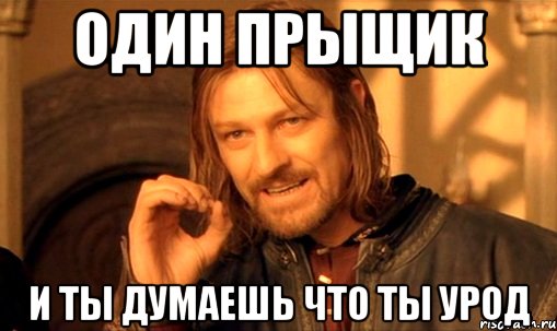 Один Прыщик И ты думаешь что ты урод, Мем Нельзя просто так взять и (Боромир мем)