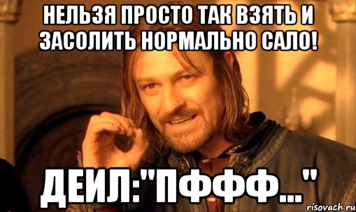 Нельзя просто так взять и засолить нормально сало! Деил:"Пффф...", Мем Нельзя просто так взять и (Боромир мем)