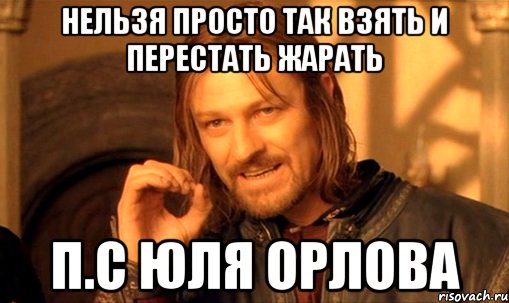 Нельзя просто так взять и перестать жарать П.С Юля Орлова, Мем Нельзя просто так взять и (Боромир мем)