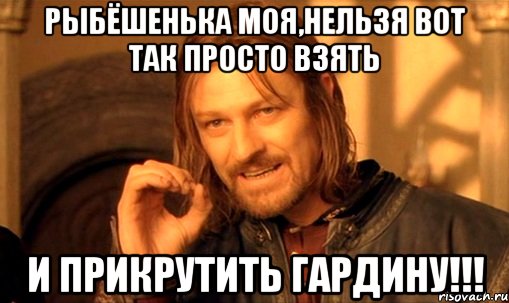 рыбёшенька моя,нельзя вот так просто взять и прикрутить гардину!!!, Мем Нельзя просто так взять и (Боромир мем)