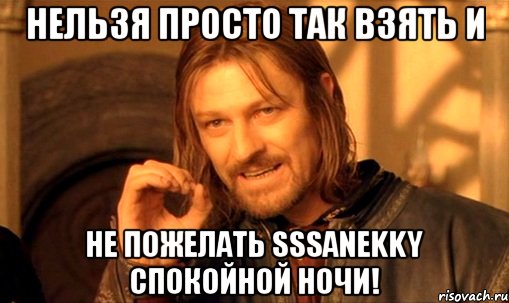 Нельзя просто так взять и Не пожелать sssanekky спокойной ночи!, Мем Нельзя просто так взять и (Боромир мем)