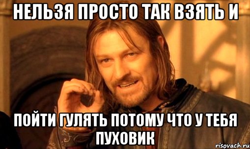 нельзя просто так взять и пойти гулять потому что у тебя пуховик, Мем Нельзя просто так взять и (Боромир мем)