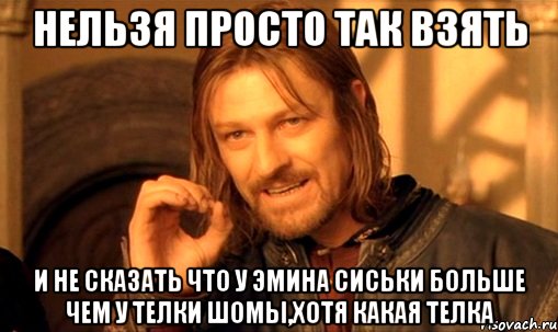 Нельзя просто так взять и не сказать что у эмина сиськи больше чем у телки шомы,хотя какая телка, Мем Нельзя просто так взять и (Боромир мем)