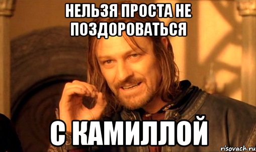 НЕЛЬЗЯ ПРОСТА НЕ ПОЗДОРОВАТЬСЯ С КАМИЛЛОЙ, Мем Нельзя просто так взять и (Боромир мем)