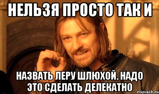 Нельзя просто так и Назвать леру шлюхой. Надо это сделать делекатно, Мем Нельзя просто так взять и (Боромир мем)