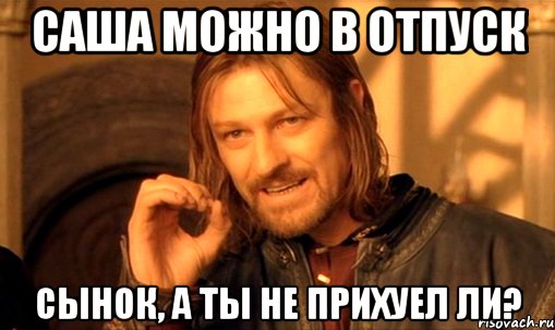 Саша можно в отпуск Сынок, а ты не прихуел ли?