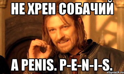 Не хрен собачий А penis. P-e-n-i-s.